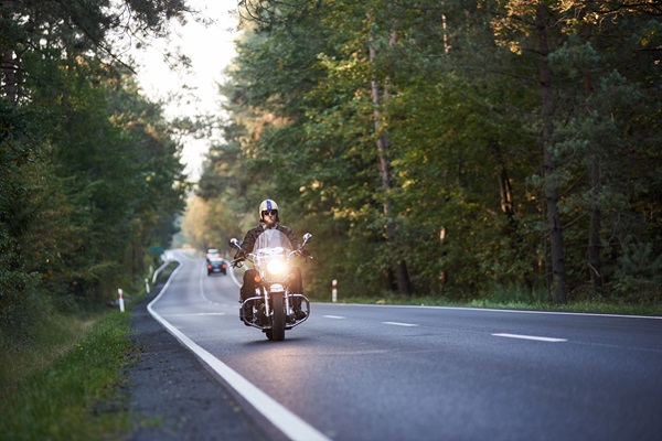Bearded biker in sunglasses and black leather clothing riding modern powerful motorcycle along asphalt road with moving cars winding among tall green trees.